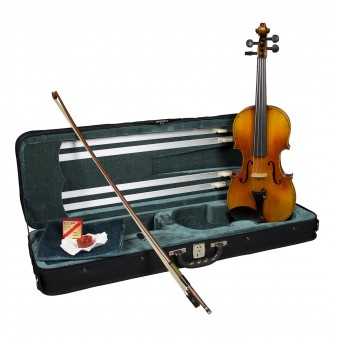 4/4 Size Veracini Violin Outfit Custom Model - 3194BD