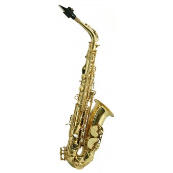 Trevor James SR Alto Saxophone in Bornze -  374SR-ZK