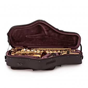 Trevor James SR Alto Saxophone in Gold Lacquer -  374SR-KK