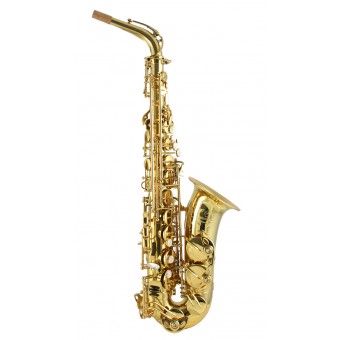 Signature Custom Gold Lacquered Alto Saxophone Outfit 37SC-A169B