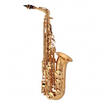 Buffet 100 Series Alto Saxophone Outfit - BC8101-1-0