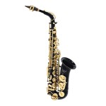 Elkhart 100AS Alto Saxophone