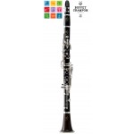 Buffet Festival A Clarinet Outfit BC1239GL