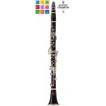 Buffet RC A Clarinet Outfit  BC1214