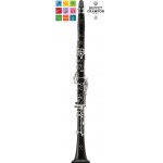 Buffet Divine A Clarinet Outfit BC1260L