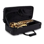 Trevor James The Horn Alto Saxophone Outfit in Gold Lacquer - 3730G